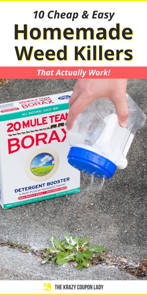 Into DIY gardening or lawn care but struggling with weeds? Weeds are a part of gardening none of us love. To save yourself some headache (and money), here are 10 pet- and kid-friendly, homemade weed killer solutions to help you avoid chemicals. The Krazy Coupon Lady has the summer how tos , easy DIYs and life hacks you need. Natural Weedeater, Kill Weeds With Vinegar, Kill Weeds Naturally, Killing Weeds, Yard Privacy, Kill Weeds, Wild Onions, Garden Remedies, Easy Diys