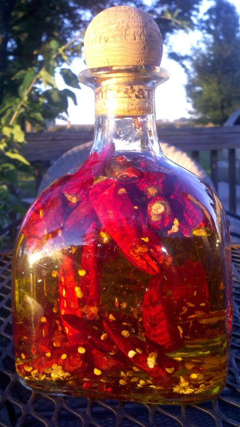 Infused Oil Recipes, Hot Pepper Recipes, Easy Chilli, Hot Chili Oil, Chili Oil Recipe, Thai Chili Pepper, Flavored Olive Oil, Chilli Oil, Dried Chillies