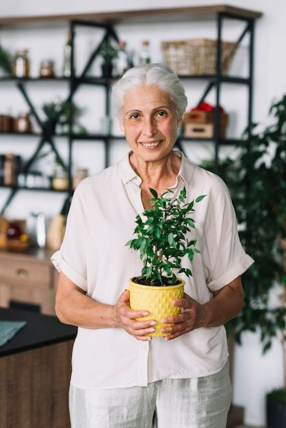 Free photo portrait of an smiling woman ... | Free Photo #Freepik #freephoto #woman-holding #hand-plant #adult-woman #woman-nature Holding Plant Reference, Plants Aesthetic, Shop Branding, Smiling Woman, Plant Shop, Pot Plant, Plant Aesthetic, Art Garden, Plant Lady