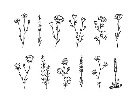 Flower, Flower SVG, Flowers, Svg, Wildflowers, Floral silhouettes SVG, Flower Bundle, Hand drawn, Wild flowers SVG, Greenery. Botanical Png How To Draw Wildflowers, Cute Flower Designs, Flower Border Design, Wildflower Drawing, Svg Flowers, Floral Graphic Design, Easy Flowers, Floral Meadow, Wild Herbs