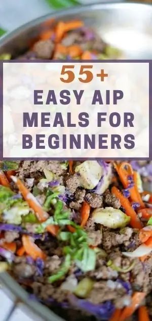 Aip Recipes Autoimmune Protocol, Autoimmune Protocol Diet Recipes, Autoimmune Diet Recipes, Meals For Beginners, Aip Diet Recipes, Aip Meals, Aip Breakfast, Autoimmune Paleo Diet, Autoimmune Recipes