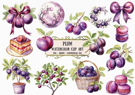 Plum Art, Watercolor Fruit, Scrapbook Art, Fruit Illustration, Clip Art Vintage, Graphic Design Projects, Art Challenge, Watercolor Clipart, Grafik Design