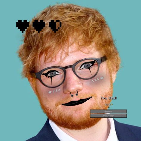 Edd Sheran Memes, Bred Sheeran, Catgirl Pfp, Ed Sheeran Memes, Heinz Beans, Orange Man, Mister Ed, Ed Sheeran Love, Silly Photos