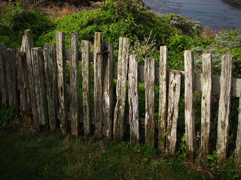 Old Fence Old Wooden Fence, Fence Options, Country Fences, Small Fence, Rustic Fence, Front Fence, Concrete Fence, White Fence, Timber Fencing