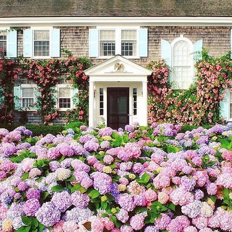 The Glam Pad: September Musings House With Hydrangeas, Nantucket Houses, Shingle Cottage, Martha Vineyard, England Vacation, Spring Cottage, Hill House Home, Nantucket Style, English Summer