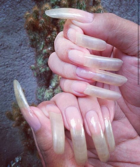 Bare nails  #longnaturalnails Rounded Summer Nails, Curl Nails, Long French Tip Nails, French Manicure Acrylic Nails, Long Natural Nails, Long Fingernails, Curved Nails, Nails Natural, Long Nail Designs