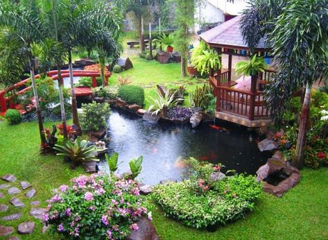 Waterfall Pond, Waterfall Ideas, Fish Pond Gardens, Kolam Koi, Backyard Ponds, Backyard Pond, Garden Pond Design, Small Pond, Pond Ideas