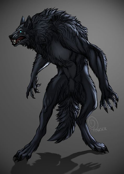 Werewolf Drawing, Werewolf Aesthetic, Wolf Artwork, Werewolf Art, Vampires And Werewolves, The Planets, Creatures Of The Night, Mythical Creatures Art, Black Wolf