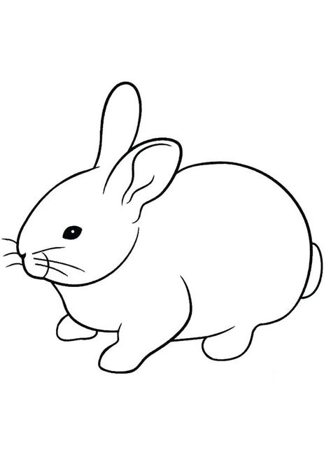 Pet Animals Drawing, Rabbit Coloring Pages, Rabbit Coloring, Bunny Coloring, Easter Bunny Colouring, Rabbit Colors, Funny Rabbit, Bunny Coloring Pages, Pumpkin Coloring Pages