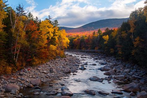 Littleton New Hampshire, New England Foliage, Fall In New England, Autumn Essentials, White Mountain National Forest, New England States, Road Trip Routes, Leaf Peeping, New England Fall