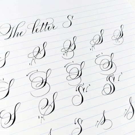 Time to move on to the letter S! I love the many ways you can write this letter. #learncalligraphy #theletters #pointedpen #calligraphy… S In Calligraphy, Calligraphy S, Calligraphy Writing Styles, Calligraphy Letters Alphabet, Flourish Calligraphy, Calligraphy Fonts Alphabet, Hand Lettering Worksheet, Lettering Guide, Photo Time