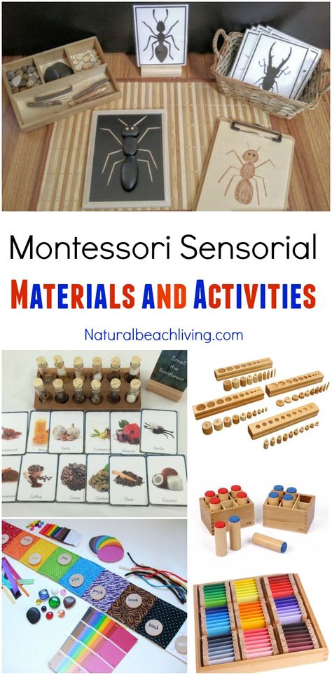 Montessori Sensorial Materials Every Child Will Love, Perfect Montessori Activities and Montessori Materials for Preschool, Sensory, Smelling bottles, Color Montessori Gifts, Best Montessori Toys, Montessori Trays, Montessori Activities Preschool, Montessori Science, Montessori Color, Montessori Books, Montessori Lessons, Toys Montessori