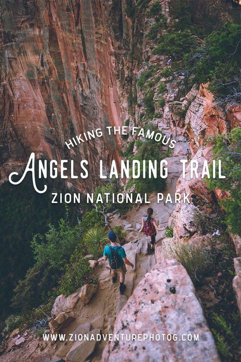 Angels Landing Zion National Park, Zion National Park Photography, Angels Landing Zion, Zion National Park Hikes, Hiking Inspiration, Utah Adventures, Utah Road Trip, Zion National Park Utah, National Parks Photography