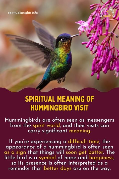 Spiritual Meaning of Hummingbird Visit Meaning Of Hummingbird, Hummingbird Spiritual Meaning, Hummingbird Quotes, Hummingbird Meaning, Hummingbird Symbolism, Spirit Animal Meaning, Animal Meanings, Nature Quotes Adventure, Spiritual Animal