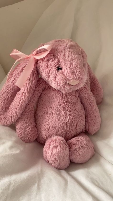 Pink Jellycat Bunny Aesthetic, Pink Jelly Cat Bunny, Pink Bunny Jellycat, Coquette Jellycat, Jelly Cats Aesthetic, Pink Jelly Cat, Jellycat Cat, Jelly Cat Stuffed Animals, Pink Jellycat