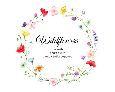 Watercolor Wildflowers Wreath Clipart. Botanical Floral - Etsy Brazil Fingerprint Art, Wreath Illustration, Sunflower Clipart, Wreath Clipart, Wildflower Wreath, Watercolor Wildflowers, Hand Painted Frames, Bee Illustration, Flowers Wreath