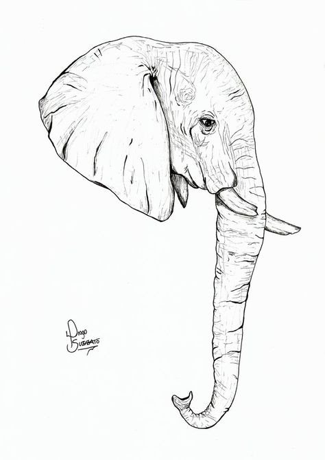 Elephant Face Drawing, Elephant Head Drawing, Elephant Art Drawing, Simple Elephant Tattoo, Elephant Head Tattoo, Side View Drawing, Elephant Sketch, Head Drawing, Elephant Face