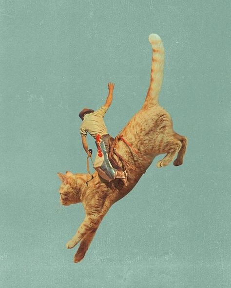 The vibe is: 🤠🐱 Art Credit: Meehaw - Rodeo Cat / Bronc by @vertigo.artography Cat Art Print, Impressionism Art, Cat Wall Art, Yellow Art, Orange Art, Blue Peach, Dark Forest Green, Dark Forest, Featured Art