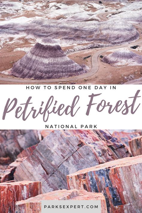 A guide to how to spend one day in Petrified Forest National Park. This Petrified Forest itinerary includes trails to hike, visitor centers, overlooks, things to do, and more. National Park Itinerary, Petrified Forest National Park, National Parks Photography, Petrified Forest, Scenic Roads, National Park Road Trip, Canyonlands National Park, Forest Trail, National Parks Usa