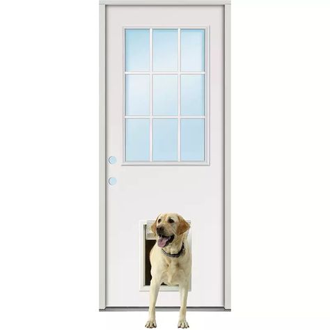 Large dog door