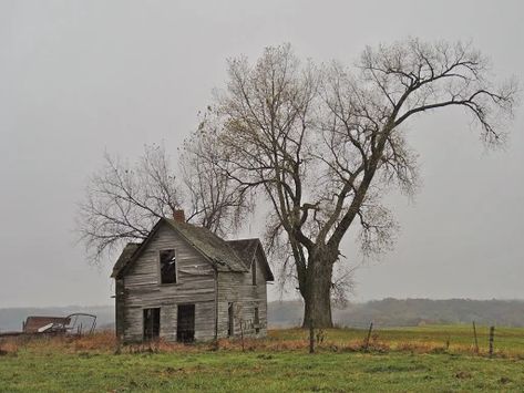 Midwest Gothic is a type of Regional Gothic aesthetic characterized by the portrayal of common facets of the Midwestern American lifestyle in a macabre light. Like many other Regional Gothic aesthetics, it originated and rose to popularity in the middle 2010s on Tumblr. Common themes found in Midwest Gothic works include the indifferent and mysterious qualities of nature, references to local folklore, exaggerations of Midwestern traditions, and a sense of isolation and disconnection, as well as Regional Gothic, Gothic Words, Midwest Gothic, Southern Gothic Aesthetic, Midwest Emo, American Lifestyle, Log House, American Gods, American Gothic