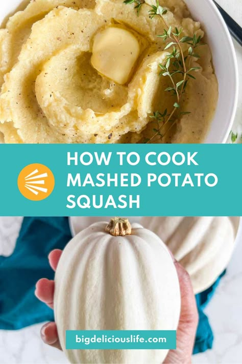 Mashed Potatoe Squash Recipe, Acorn Squash Mashed Potatoes, Mashed Potatoes Squash, How To Cook Mashed Potato Squash, Baked Potato Squash Recipes, Mash Potato Squash, Mash Potato Squash Recipes, White Squash How To Cook, Mashed Squash Recipes