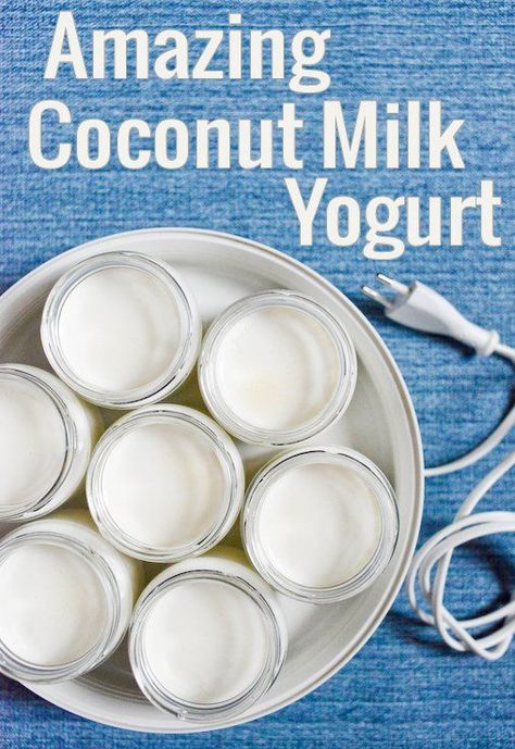 Homemade Coconut Milk Yogurt Recipe | Chocolate & Zucchini Yogurt Homemade, Coconut Milk Yogurt, Carb Cycling Diet, Diy Coconut, Yogurt Recipe, High Carb Foods, Yogurt Maker, Vegan Yogurt, Homemade Yogurt