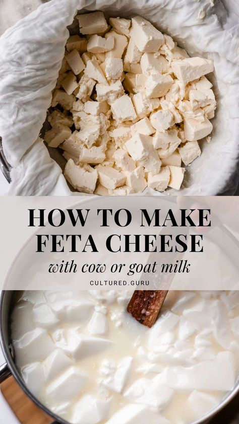 Savor the rich, creamy texture of homemade feta. Learn how to make feta cheese from scratch. Aged to tangy perfection, it's a delightful addition to salads, pastas, and your favorite dishes. #cheese #fermentation #feta Make Feta Cheese, Homemade Feta Cheese, Homemade Feta, Cheese Recipes Homemade, Fermented Dairy, Cheese Making Recipes, Feta Cheese Recipes, Diy Cheese, Homemade Cheese