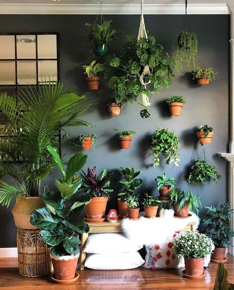 Home Deco on Instagram: “Tip: If you run out of shelf space, hang your plants on the wall 🌿⁠ ↠ Follow us @homedeco for more decor ideas⁠ ↠⁠ ↠⁠ ↠⁠ 📸:…” Garden Bathroom Ideas, House Plants Decor Indoor, Big Indoor Plants, Houseplants Decor, Dark Accent Walls, Air Purifying House Plants, Garden Bathroom, Living Vintage, Healing Plants