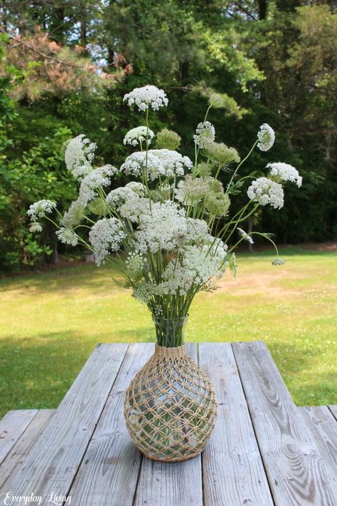 Queen Anne’s Lace Queen Anne’s Lace Arrangement, Queen Annes Lace Flower Arrangements, Queen Anne’s Lace Bouquet, Queen Annes Lace Wedding Bouquet, Queen Annes Lace Bouquet, Queen Anne Lace Flower, Lace Centerpieces, How To Plant Carrots, Lace Bouquet