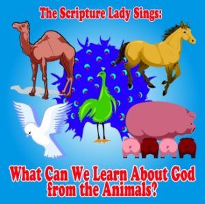 Animals In The Bible, Toddler Bible Lessons, Childrens Ministry Lessons, Toddler Bible, Animals Preschool, Preschool Bible Lessons, Bible Worksheets, Kids Sunday School Lessons, Animal Lessons