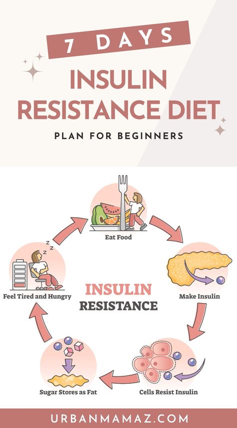 Insulin Resistance Diet Plan, Insulin Resistance Diet Recipes, Protein Diet Plan, Best Diet Foods, Breakfast Low Carb, Best Diet Plan, Low Fat Diets, Diet Help, Insulin Resistance