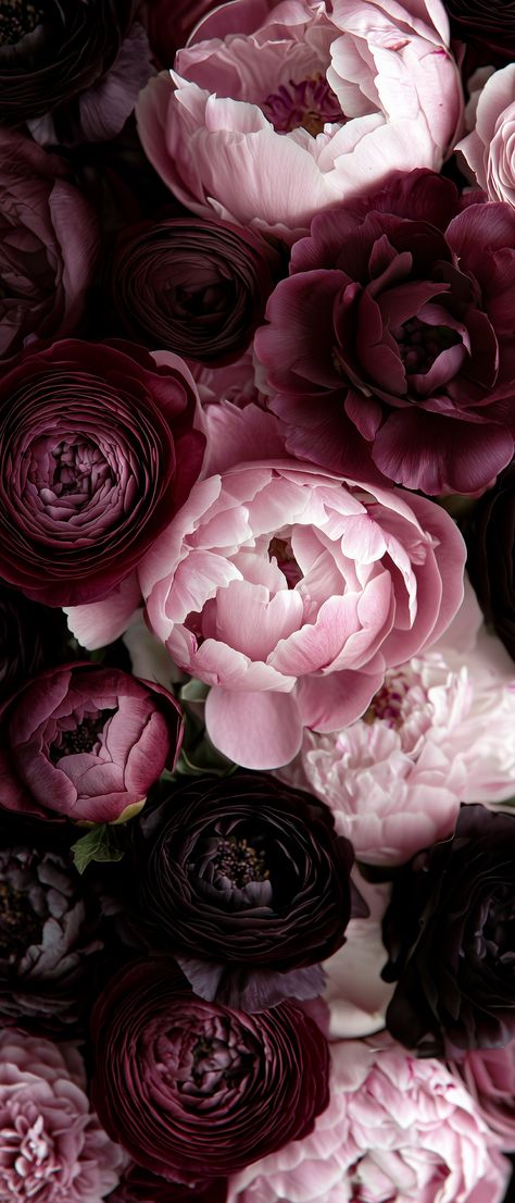 Ranunculus Wallpaper, Peony Wallpaper, Gothic Wallpaper, Vintage Flowers Wallpaper, Nothing But Flowers, Iphone Wallpaper Photos, Luxury Flowers, Art Wallpaper Iphone, Cute Wallpaper For Phone