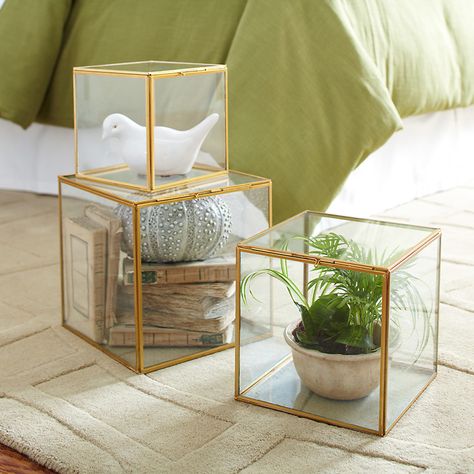 Glass Box Ideas, Glass Display Box, Style Me Pretty Living, Antique Brass Frame, Farmhouse Traditional, Furniture Classic, Kids Bookcase, Glass Box, Glass Display