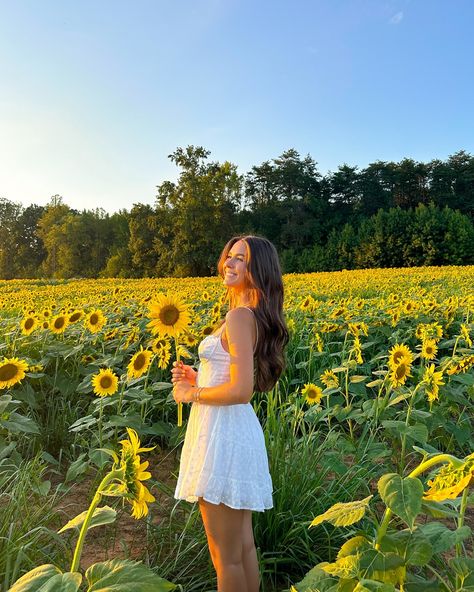 sunflower lovers🌻🌅🦋 #sunflowerfield #flowerfield #fallactivities #couplegoals #falldate Sunflower Field Instagram Pictures, Flower Farm Poses, Sunflower Farm Photoshoot Outfits, Sunflower Field Outfit Ideas Fall, Pics With Sunflowers, Pictures In A Sunflower Field, Sun Flower Fields Photoshoot, Pics In Flower Field, Flower Farm Picture Ideas