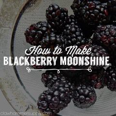 Blackberry Moonshine Recipe Cocktails, Moonshine Mixed Drinks Recipes, Best Moonshine Recipes, Drink Stations For Parties, Peanut Butter Moonshine Recipe, Crock Pot Moonshine Recipes, Blackberry Moonshine Recipe, Pecan Pie Moonshine Recipe, Crockpot Moonshine