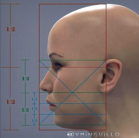 ArtStation - Face measurements, Vladimir Minguillo 3d Drawing Techniques, Sapo Meme, Human Anatomy Reference, 3d Monster, Head Anatomy, Face Proportions, Monster Ideas, Sculpting Tutorials, Face Anatomy