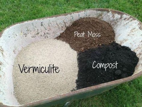 Raised Garden Bed Soil, Soil Mixture, Gemüseanbau In Kübeln, Vegetable Garden Raised Beds, Building A Raised Garden, Starting A Garden, Veg Garden, Home Vegetable Garden, Container Gardening Vegetables