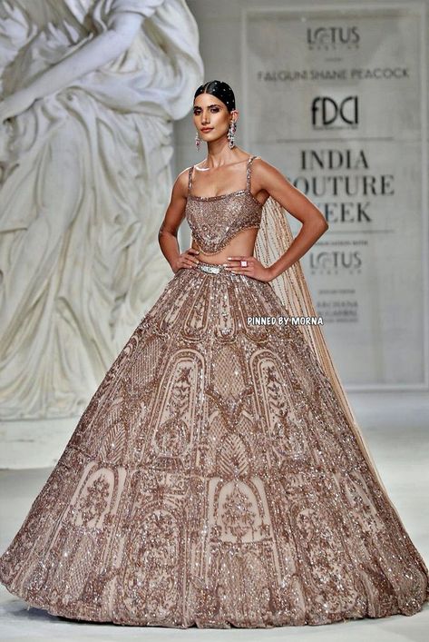 Indian Reception Dress, Indian Reception Outfit, Marriage Clothes, Falguni Shane Peacock, Reception Outfits, Simple Lehenga, Latest Bridal Lehenga, Indian Dresses Traditional, Bridal Dress Fashion