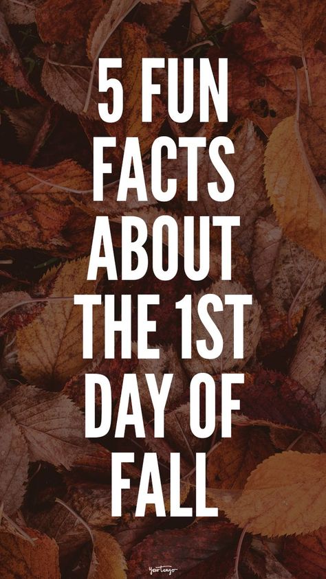 The fall equinox, also called the autumnal equinox, arrives on the first day of fall. Fall Equinox Aesthetic, Autumn Equinox Aesthetic, First Day Of Autumn, Autumnal Equinox, First Day Of Fall, Weather Change, Christian Symbols, Pumpkin Flavor, Autumn Quotes