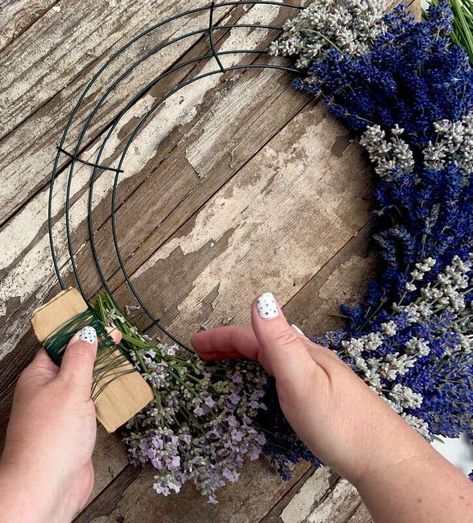 DIY Lavender Wreath Making | CarriageHouseLavendr Lavender Wreath Diy, Lavender Wreaths, Lavender Plant Care, Lavender Care, Diy Lavender, Wire Wreath Forms, Lavender Wreath, English Lavender, Lavender Farm