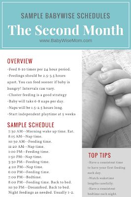 12 Sample Babywise schedules for a 1 month old that were actually used by Babywise moms. Baby Schlafplan, Babywise Schedule, Baby Wise, Newborn Tips, Newborn Schedule, Baby Routine, Baby Schedule, Baby Sleep Schedule, One Month Old