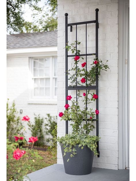 Wall Trellis, Flower Trellis, Front Yard Garden Design, Trellis Plants, Garden Decor Ideas, Inspire Me Home Decor, Rustic Flowers, Front Yard Garden, Plant Supports