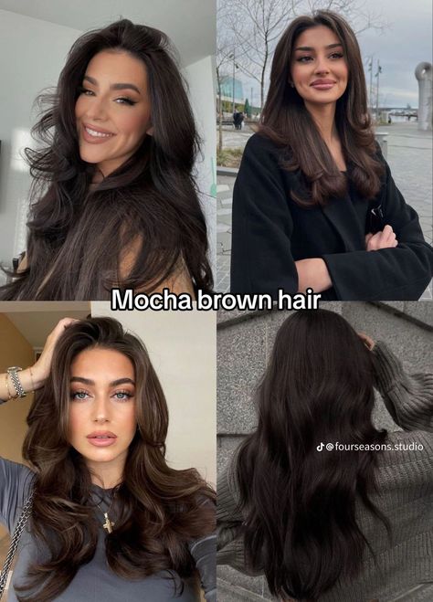 Types Of Brown Hair, Cabello Color Chocolate, Mocha Brown Hair, Mocha Color Hair, Brown Hair Color Shades, Best Haircuts For Women, Mocha Hair, Rambut Brunette, Brown Hair Looks