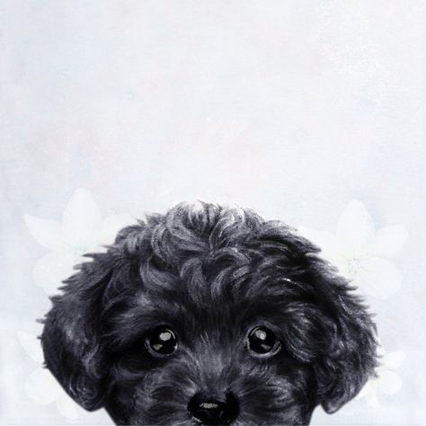 Toy poodle Black Mini Art Print by MiartDesignCreation - Without Stand - 3" x 4" Black Poodle Illustration, Black Poodle Painting, Black Poodle Drawing, Toy Poodle Illustration, Toy Poodle Tattoo, Black Toy Poodle, Poodle Tattoo, Poodle Black, Poodle Drawing