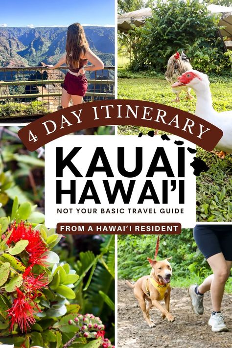 Kauai Travel Guide: 4 Day Kauai Itinerary - chickpeameatball Kauai Itinerary, Farm Animal Sanctuary, Dog Farm, Kauai Travel, Kauai Island, Hawaii Travel Guide, Shelter Dog, Animal Sanctuary, Babymoon