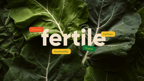 Organic Food Branding, Farm Graphic Design, Sustainability Branding, Fruit Branding, Organic Branding Design, Eco Logo Design, Minimal Logos Inspiration, Fresh Branding, Sustainable Farm