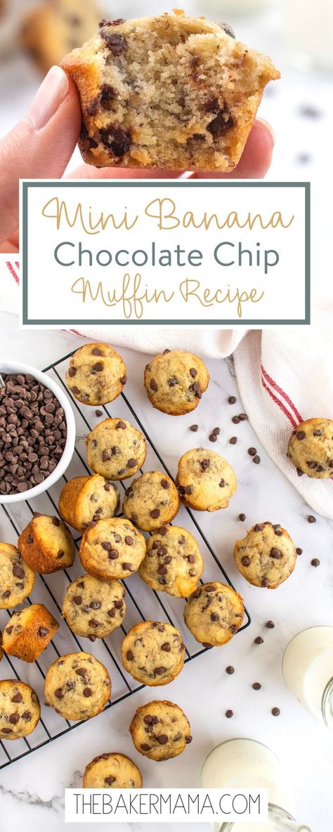 Moist, chocolatey, easy-to-make Mini Banana Chocolate Chip Muffins are bite-sized perfection. With pantry staples and some overripe bananas, you can have these delicious muffins in a matter of minutes! Perfect for a quick breakfast or a yummy after school snack, these Mini Banana Chocolate Chip Muffins are bite-sized bliss! The muffins are soft and moist, chocolatey and just the right amount of sweet. Banana Choc Chip Mini Muffins, Banana Ideas Easy, Mini Muffin Banana Bread, 2 Banana Chocolate Chip Muffins, Mini Chocolate Chip Muffins Little Bites, Mini Banana Chocolate Chip Muffins Healthy, Mini Banana Muffins With Chocolate Chips, Banana Bread Mini Muffins Recipe, Banana Muffins With Two Bananas