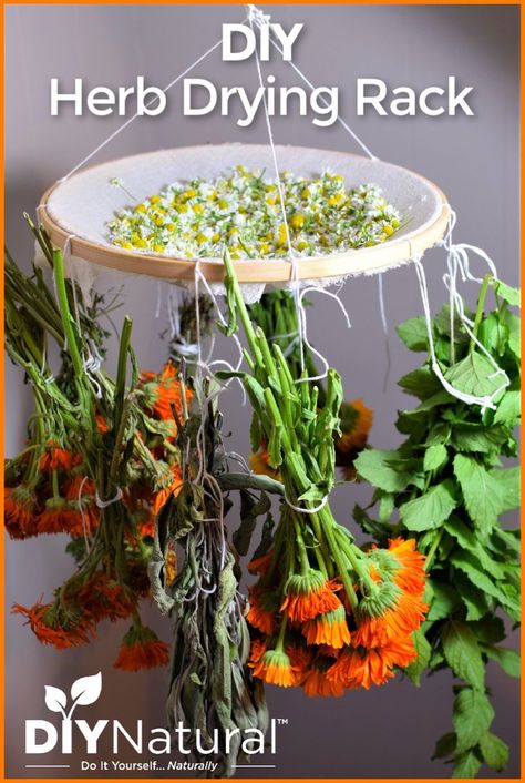 DIY Herb drying rack ! Diy Herb Hanging Rack, Drying Herb Rack, Diy Drying Rack Herbs, Diy Herb Dryer, Drying Herbs For Tea, Dry Herbs Diy, Diy Flower Drying Rack, Hang Herbs To Dry, Witchy Herb Garden