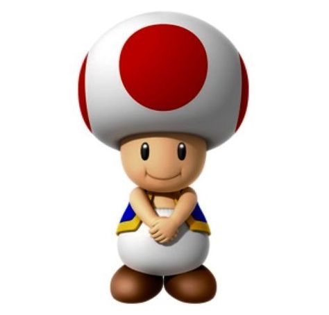 Toad Pfp Mario, Toad Cute Mario, Mario Koopa, Toad Reaction Pic, Super Mario Bros Toad, Super Mario Toad, Toad Mario Pfp, Toad Pfp, Mario Toad